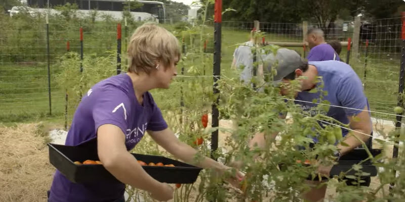 Trane Technologies volunteering at Carolina Farm Trust